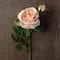 12 Pack: Light Pink English Rose Stem by Ashland®